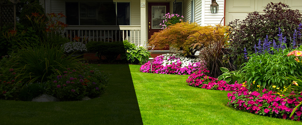 Hampden Landscapers